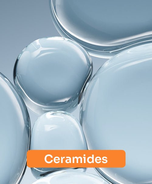 Ceramides