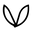 Vellora Skin Care logo